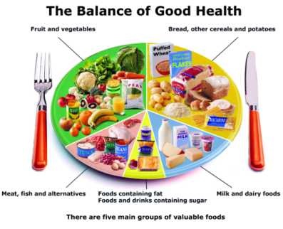 Food Fundamentals - Food and Healthy Living - HFL 4E